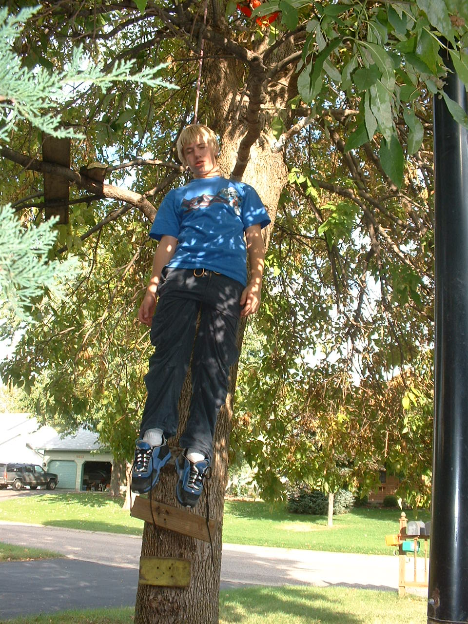 drew-hanging.jpg